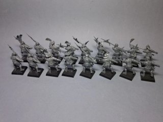 20 Tropas Alabarda Imperio Warhammer