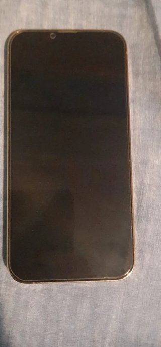 iPhone 13 Pro Max 256GB Oro Batteria 79%