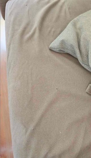 Sofá Cama Gris 3 Plazas