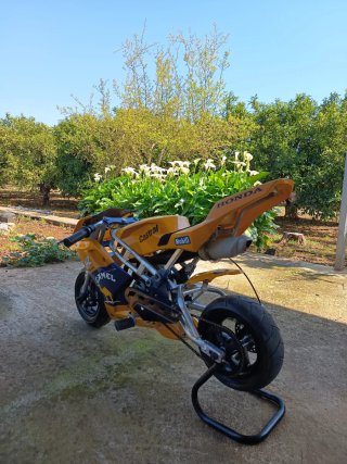 Mini Moto camel