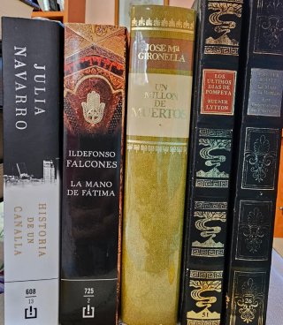Colección de libros. Julia Navarro y otros