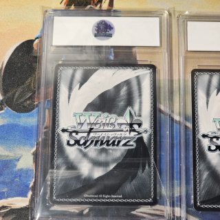 Lotto 3 Carte Weiss Schwarz Frieren Gradate Fern
