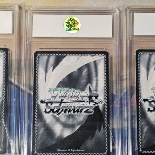 Lotto 3 Carte Weiss Schwarz Frieren Gradate Fern