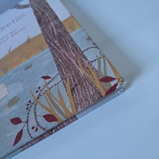Oso Atrapabolboretas - Libro Infantil