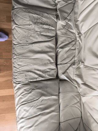 Sofá y sillón de piel beige