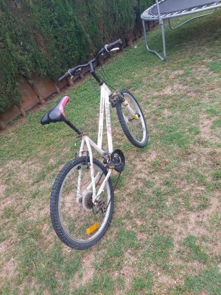 Bicicleta blanca y rosa