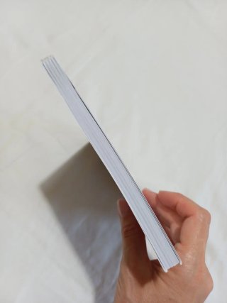 Letteratura italiana per la maturità. Il ripassone