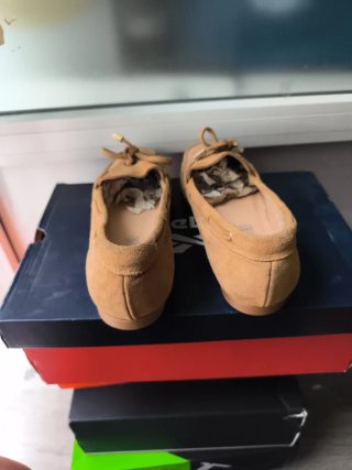 Zapatos Mocasines Beige/Marrón