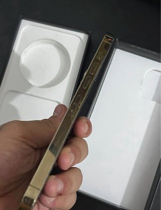 iPhone 13 Pro Max 100%