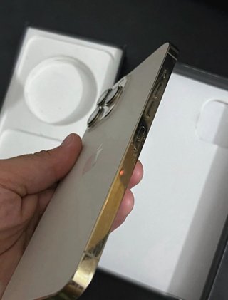 iPhone 13 Pro Max 100%