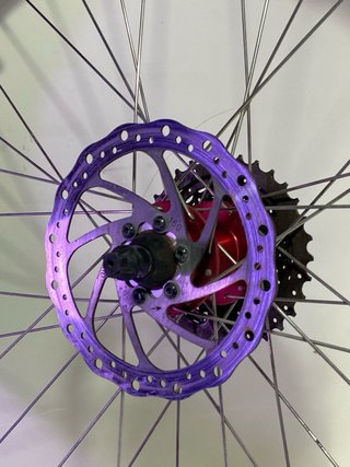 Rueda ALEXRIMS 26 X 2.25 con Freno Disco, Piñones.