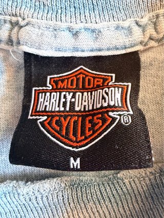 Camiseta Harley-Davidson Gris