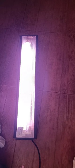Tortuguera/pecera cristal con luz