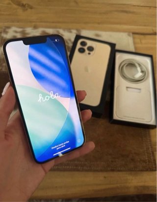 iPhone 13 Pro Max