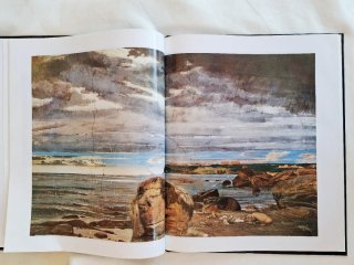 Libro d'arte: Boldini