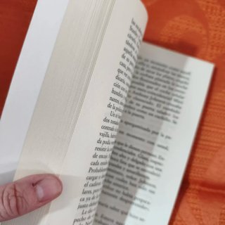LIBRO: Un demonio para mí (Ruth Rendell)