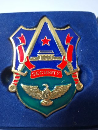 Lote 2 Insignias Militares y Seguridad