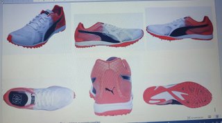 Zapatillas Puma Evospeed Haraka 6 Naranja/Blanco