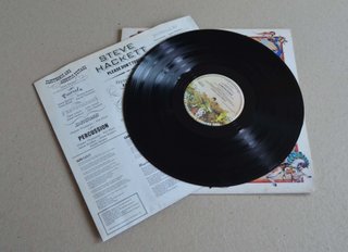 STEVE HACKETT "PLEASE DON'T TOUCH!" (LP VINILO)