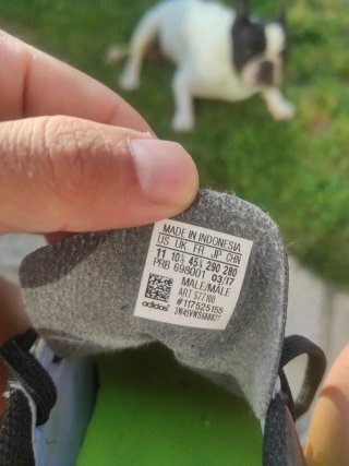 Zapatillas Adidas Fútbol Sala
