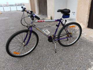 Bicicleta Montaña XXL Morada