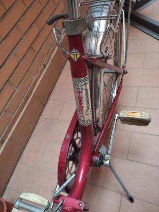 Bicicleta Torrot Clásica Años 70