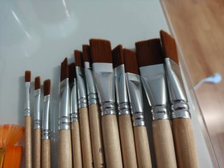 Lote 42 Pinceles Van Bleiswijck