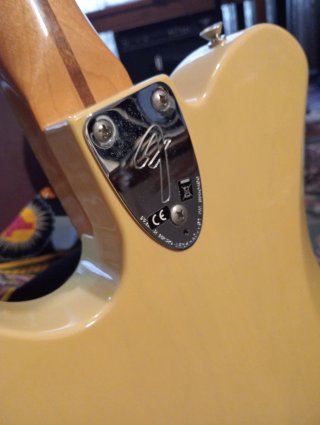 Fender Vintera 70s Telecaster Deluxe
