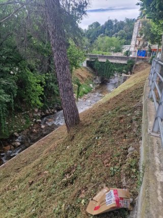 Jardenro y forestales desproce llámame 643394907