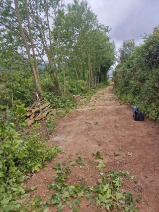 Jardenro y forestales desproce llámame 643394907