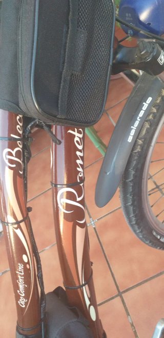 BICICLETA  ELÉCTRICA  ORIGINAL
