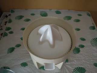 Exprimidor cítricos Braun crema