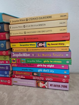 Lotto 24 libri romanzi Jacqueline Wilson