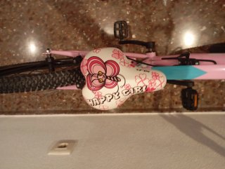 Bici Niña 24 Rosa