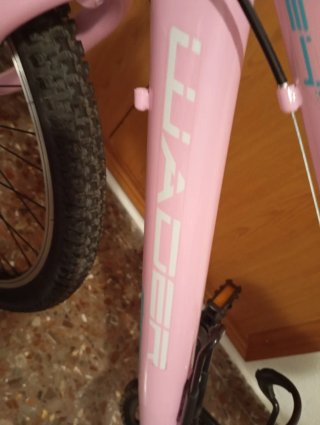 Bici Niña 24 Rosa