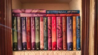 Colección lote 19 novelas RBA