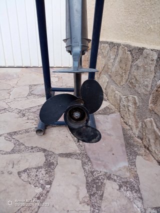 Motor fueraborda Mariner 6CV