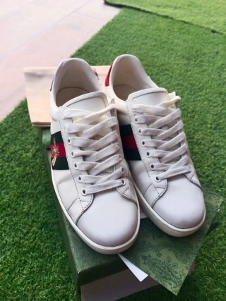 Zapatillas Gucci Hombre Talla 43 usadas buen estad