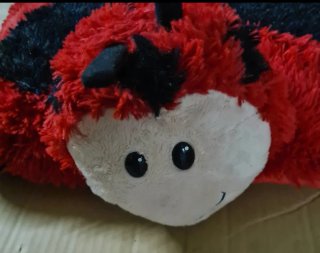 Cuscino Coccinella con chiusura a strappo