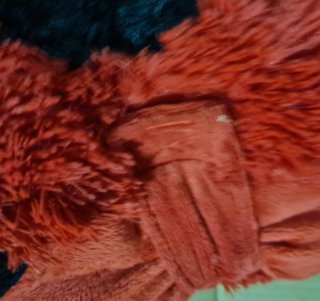 Cuscino Coccinella con chiusura a strappo