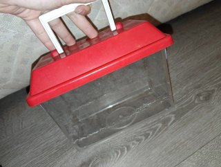 Pack iniciación acuario 20L+ Accesorios