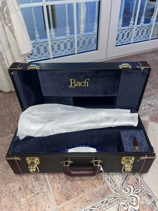 Trompeta Bach Stradivarius 43/43