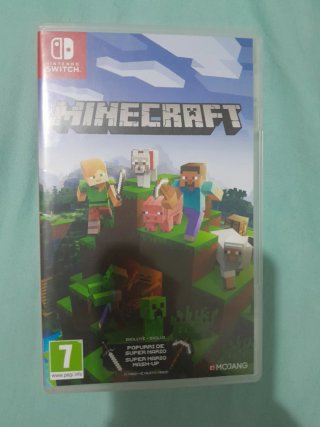 Minecraft Nintendo Switch