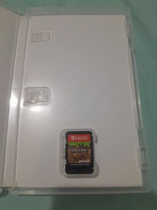 Minecraft Nintendo Switch
