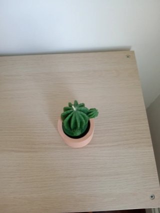Candela Decorativa Cactus