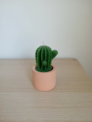 Candela Decorativa Cactus