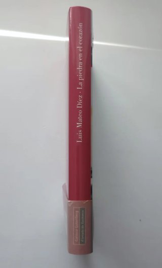 La piedra en el corazón (Spanish Edition)