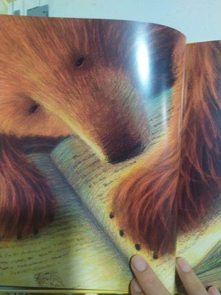 El oso que amaba los libros