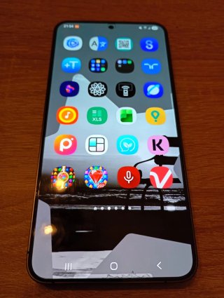 Samsung S24 Plus Negro/Gris