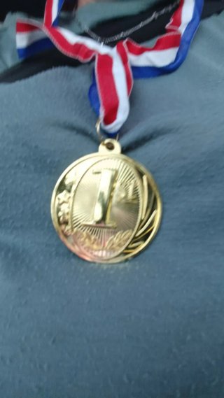 Medalla de Oro 1er Lugar